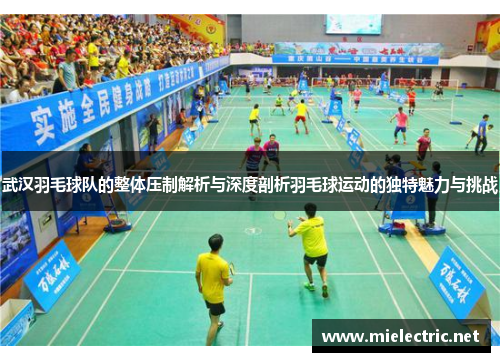 武汉羽毛球队的整体压制解析与深度剖析羽毛球运动的独特魅力与挑战