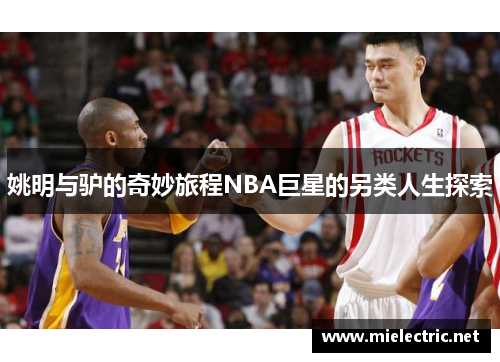 姚明与驴的奇妙旅程NBA巨星的另类人生探索