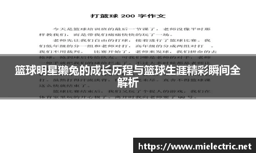 篮球明星獭兔的成长历程与篮球生涯精彩瞬间全解析